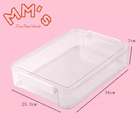 Large multi-compartment storage box for fuse bead collection